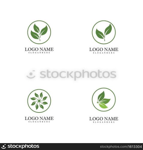 Set Mint leaves flat vector color icon template