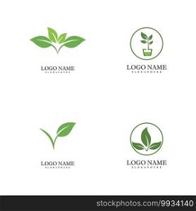 Set Mint leaves flat vector color icon template