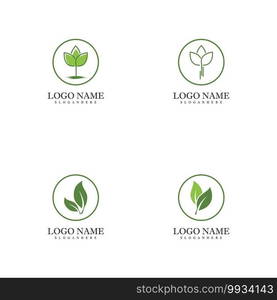 Set Mint leaves flat vector color icon template