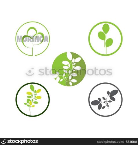 Set Moringa leaf Logo Template vector symbol nature