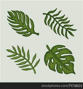 set natural tropical leaves vector logo template illustration EPS 10