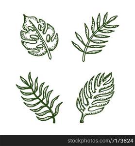 set natural tropical leaves vector logo template illustration EPS 10