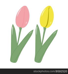 Set of 2 blooming tulip flowers for bouquets in trendy colors. Hello Spring. Sticker. Icon. isolate. EPS. Vector illustration for poster, banner, brochure, greeting or invitations, price, label or web