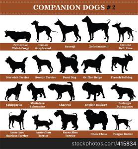 Set of 20 companion dogs. Vector set of companion breeds dogs standing in profile. Isolated dogs breed silhouettes set in black color on white background. Part 2