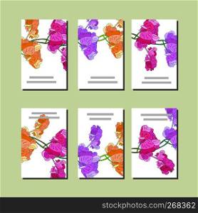 Set of 6 cards with orange, pink and violet sweet pea. Template for your design, greeting cards, festive announcements, posters. - Vector. Floral set of templates for your design, greeting cards, festive