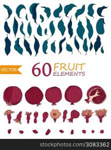 Set of 60 Pomegranate elements, flowers. seeds and leaves. Organic food vector. Hand drawn fruit style. Design for cosmetics, spa, pomegranate juice, health care products, perfume.. Set of 60 Pomegranate elements, flowers. seeds and leaves. Organic food vector. Hand drawn fruit style. Design for cosmetics, spa, pomegranate juice, health care products, perfume