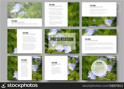 Set of 9 templates for presentation slides. Blue flowers on the grass. Aabstract multicolored backgrounds. Natural geometrical patterns. Triangular and hexagonal style vector . Set of 9 templates for presentation slides. Blue flowers on the grass. Collection of abstract multicolored backgrounds. Natural geometrical patterns. Triangular and hexagonal style vector.