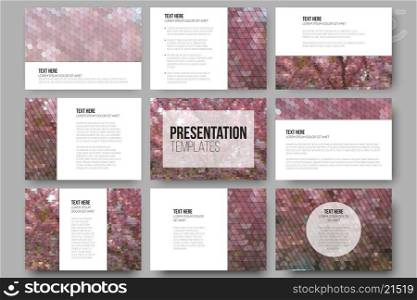 Set of 9 templates for presentation slides. Purple flowers. Abstract multicolored backgrounds. Natural geometrical patterns. Triangular and hexagonal style. Set of 9 templates for presentation slides. Purple flowers. Abstract multicolored backgrounds. Natural geometrical patterns. Triangular and hexagonal style.