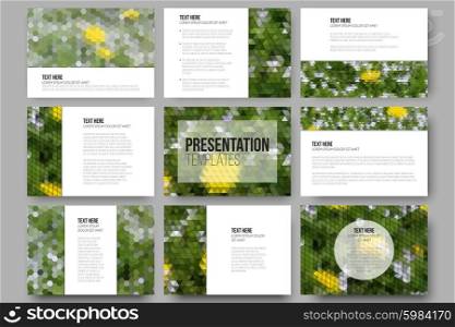 Set of 9 templates for presentation slides. Yellow flowers on the grass. Aabstract multicolored backgrounds. Natural geometrical patterns. Triangular and hexagonal style vector . Set of 9 templates for presentation slides. Yellow flowers on the grass. Collection of abstract multicolored backgrounds. Natural geometrical patterns. Triangular and hexagonal style vector.