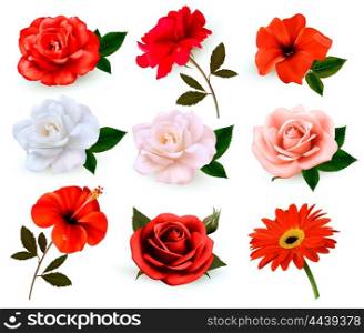Set of a beautiful flowers isolated on a white background. Vector.