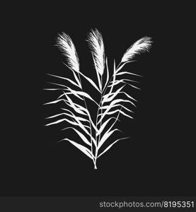 Set of a monochrome reed or bulrush on a white background.Isolated vector drawing.