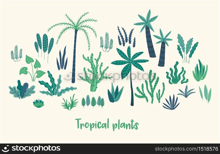 Set of abstract tropical plants. Vector design elements.. Vector set of abstract tropical plants. Design elements