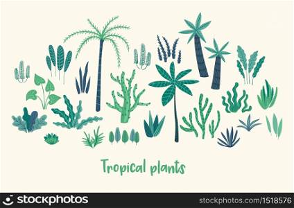 Set of abstract tropical plants. Vector design elements.. Vector set of abstract tropical plants. Design elements