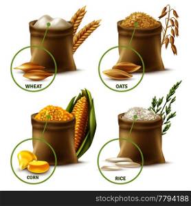 Set of agricultural cereals including sacks with wheat flour, oat, corn and rice isolated vector illustration. Agricultural Cereals Set