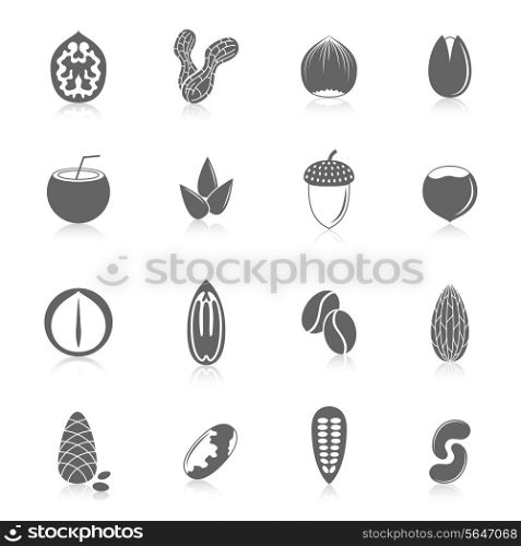 Set of almond hazelnut coconut sunflower seeds and nuts in black style with reflection vector illustration