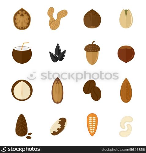 Set of almond hazelnut coconut sunflower seeds and nuts in flat style vector illustration