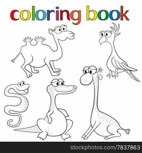 Set of animals for coloring book with giraffe, parrot, camel, boa, crocodile and camel, cartoon vector illustration