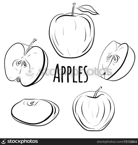 Set of apples of different shapes. Single and halves of apples. Black and white contour illustration for the menu, recipes, postcards and your creativity.. Set of apples of different shapes.