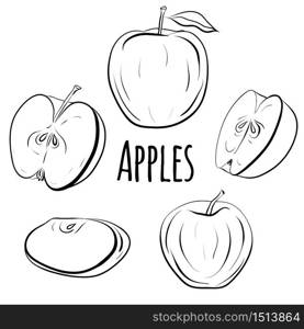 Set of apples of different shapes. Single and halves of apples. Black and white contour illustration for the menu, recipes, postcards and your creativity.. Set of apples of different shapes.