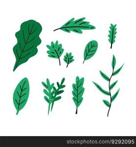 Set of aromatic herbs and greenery for salad and food. Flat vector illustration isolated on white background.
