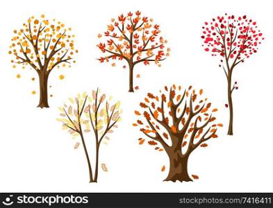 Set of autumn abstract stylized trees. Natural illustration.. Set of autumn abstract stylized trees.