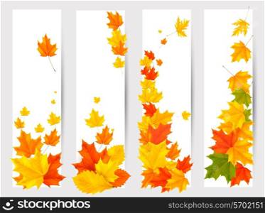 Set of autumn banners with colorful leaves. Back to school. Vector illustration.
