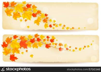 Set of autumn banners with colorful leaves. Vector.