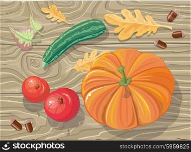 Set of autumn fetuses squash, apples, acorns. Autumn fruits, autumn, fall vegetables, autumn food, autumn harvest, food agriculture, fresh nature, healthy pumpkin, vegetarian harvest illustration