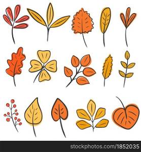 Set of autumn leaves hand drawing. Vector isolated leaves of maple, birch, oak and plants. Illustration of fall botanical elements. Collection of bed sheets for design.. Set of autumn leaves hand drawing. Vector