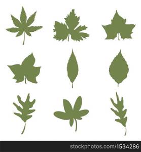 Set of autumn leaves Nature Vector illustration