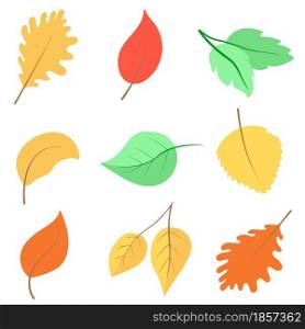 Set of autumn leaves vector illustration. Collection of hand drawn foliage of bright colors. Fall sheets decoration for banners, cards and backgrounds.. Set of autumn leaves vector illustration.