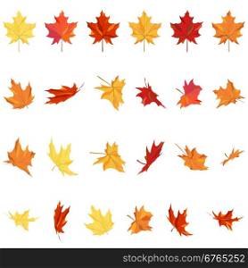 Set of autumn maple leaves in different shapes over white background. Ideal for creating fall designs. Vector illustration.
