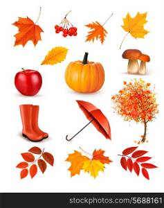 Set of autumn-themed objects. Vector