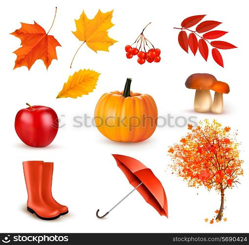 Set of autumn-themed objects. Vector