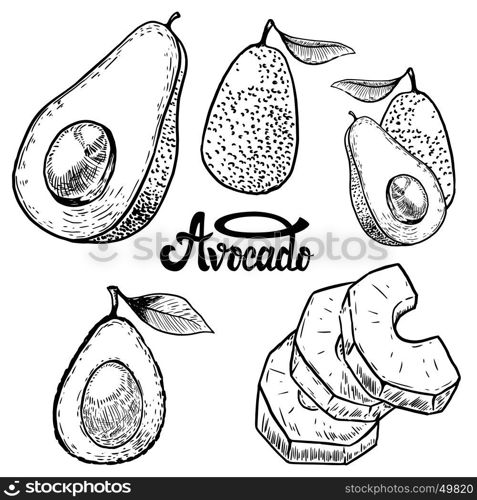 Set of avocado illustrations on white background. Design elements for logo, label, emblem, sign, poster, menu. Vector illustration.