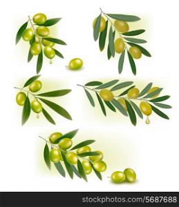 Set of backgrounds with green olives. Vector illustration.