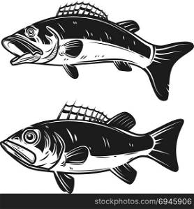 Set of bass fish illustrations isolated on white background. Design elements for logo, label, emblem, sign. Vector illustration