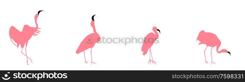 Set of beautiful colored vector illustrations of flamingos in different poses. EPS10. Set of beautiful colored vector illustrations of flamingos in different poses