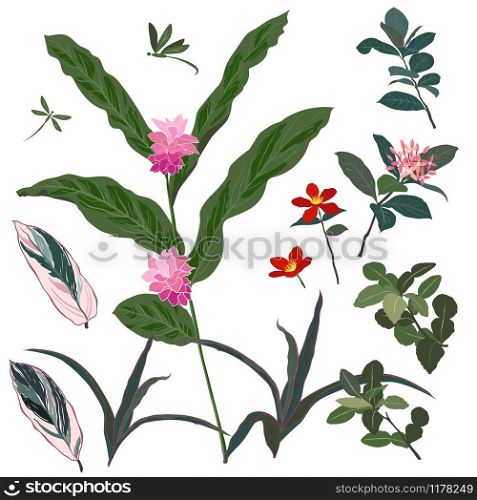 Set of beautiful tropical flower and leaves,for fashion,fabric,textile,print or wallpaper,vector illustration