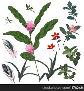 Set of beautiful tropical flower and leaves,for fashion,fabric,textile,print or wallpaper,vector illustration