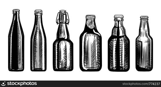 Set of beer bottles. Engraving style. Hand drawn vector illustration isolated on white background.. Set of beer bottles. Engraving style. Hand drawn