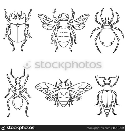 Set of beetle illustrations isolated on white background. Design elements for logo, label, emblem, sign. Vector illustration