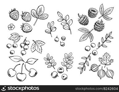 Set of berries outlines. Hand drawn illustration converted to vector.