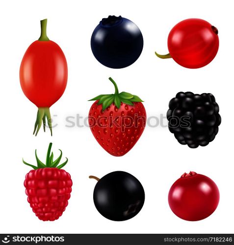 Set of berries. Realistic pictures of fresh fruits and berries isolate on white. Vector blackberry and blueberry, barberry and strawberry illustration. Set of berries. Realistic pictures of fresh fruits and berries isolate on white