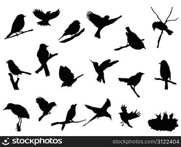 set of bird silhouettes collection
