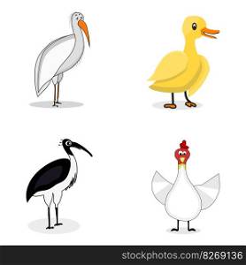 Set of birds character vector. Stork and ibis, duck and chicken illustration. Set of birds character vector