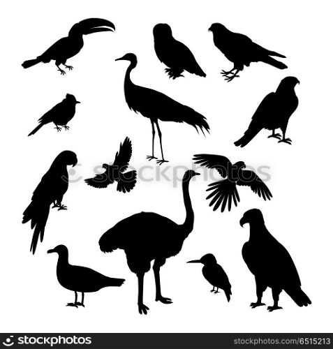 Set of Birds Silhouettes Vector Illustration. Set of birds silhouettes vector. Fauna template. Illustration for nature concepts, compositions, pet shop advertising. Parrot, jay, owl, many different birds silhouettes isolated on white background.