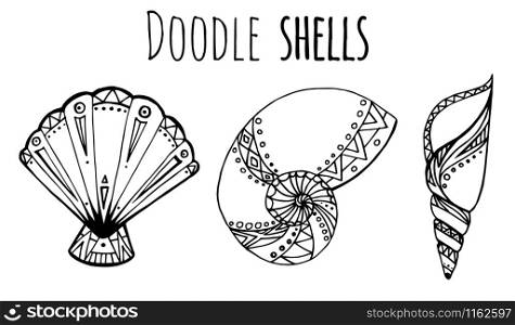 Set of black and white Doodle illustration of seashell for your creativity. Set of black and white Doodle illustration of seashell for your
