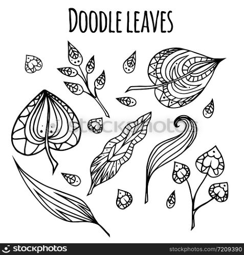 Set of black and white doodle leaves with zentangle pattern. Vector element for your design.. Set of black and white doodle leaves with zentangle pattern. Vec
