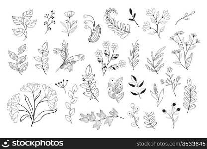 Set of black and white flowers in line style. Doodle vector floral illustrations collection.. Set of black and white flowers in line style. Doodle vector floral illustrations collection